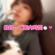 ヒメ日記 2026/08/15 09:59 投稿 春日井まりか ウルトラセレクション