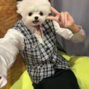 ヒメ日記 2025/10/03 19:21 投稿 しのchan AZUL本庄