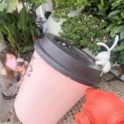 ヒメ日記 2026/04/03 13:48 投稿 ゆきは 奥様はエンジェル　国分寺店