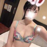 ヒメ日記 2025/11/12 13:14 投稿 ゆめか ビギナーズ和歌山