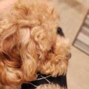 ヒメ日記 2025/10/09 19:19 投稿 いつき 所沢東村山ちゃんこ