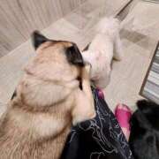 ヒメ日記 2025/10/16 17:22 投稿 いつき 所沢東村山ちゃんこ