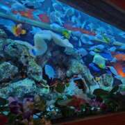 ヒメ日記 2025/10/22 17:12 投稿 いつき 所沢東村山ちゃんこ