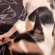 ヒメ日記 2025/10/28 18:12 投稿 いつき 所沢東村山ちゃんこ