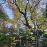 ヒメ日記 2025/11/29 19:09 投稿 いつき 所沢東村山ちゃんこ