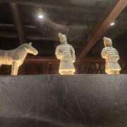 ヒメ日記 2025/12/12 19:14 投稿 いつき 所沢東村山ちゃんこ