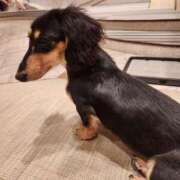 ヒメ日記 2025/09/25 22:58 投稿 いつき 西東京市小平ちゃんこ