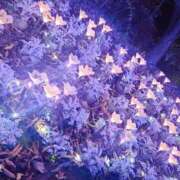 ヒメ日記 2025/10/26 19:22 投稿 いつき 西東京市小平ちゃんこ