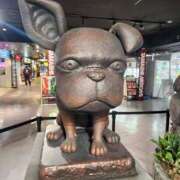 ヒメ日記 2025/11/11 19:14 投稿 いつき 西東京市小平ちゃんこ