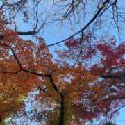 ヒメ日記 2025/11/28 19:17 投稿 いつき 西東京市小平ちゃんこ