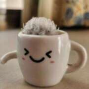 ヒメ日記 2025/12/16 17:13 投稿 いつき 西東京市小平ちゃんこ