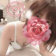 ヒメ日記 2025/11/09 14:31 投稿 中山じゅり ミセスレディ