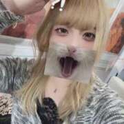 ヒメ日記 2025/12/12 03:29 投稿 ひなか デザインプリズム新宿