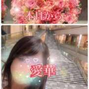 ヒメ日記 2025/09/27 10:26 投稿 東愛華 五十路マダムエクスプレス船橋店(カサブランカグループ)