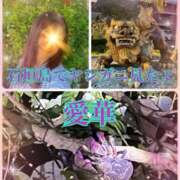 ヒメ日記 2025/10/01 18:16 投稿 東愛華 五十路マダムエクスプレス船橋店(カサブランカグループ)