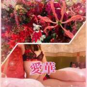 ヒメ日記 2025/10/05 17:16 投稿 東愛華 五十路マダムエクスプレス船橋店(カサブランカグループ)