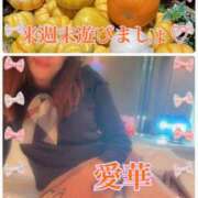 ヒメ日記 2025/10/12 18:16 投稿 東愛華 五十路マダムエクスプレス船橋店(カサブランカグループ)