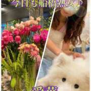 ヒメ日記 2025/10/18 09:26 投稿 東愛華 五十路マダムエクスプレス船橋店(カサブランカグループ)