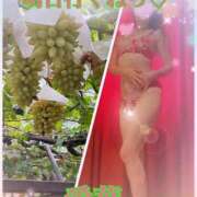 ヒメ日記 2025/10/23 22:18 投稿 東愛華 五十路マダムエクスプレス船橋店(カサブランカグループ)