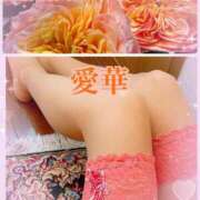 ヒメ日記 2025/10/24 10:16 投稿 東愛華 五十路マダムエクスプレス船橋店(カサブランカグループ)