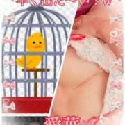 ヒメ日記 2025/10/25 13:16 投稿 東愛華 五十路マダムエクスプレス船橋店(カサブランカグループ)