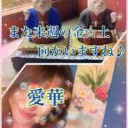 ヒメ日記 2025/10/26 12:38 投稿 東愛華 五十路マダムエクスプレス船橋店(カサブランカグループ)