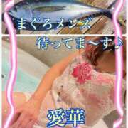 ヒメ日記 2025/10/28 12:38 投稿 東愛華 五十路マダムエクスプレス船橋店(カサブランカグループ)