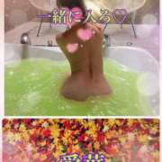 ヒメ日記 2025/11/08 09:48 投稿 東愛華 五十路マダムエクスプレス船橋店(カサブランカグループ)