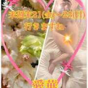 ヒメ日記 2025/11/14 18:16 投稿 東愛華 五十路マダムエクスプレス船橋店(カサブランカグループ)