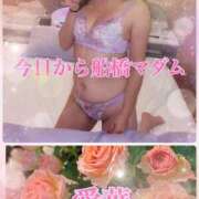 ヒメ日記 2025/11/21 09:24 投稿 東愛華 五十路マダムエクスプレス船橋店(カサブランカグループ)