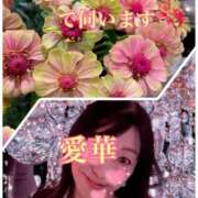 ヒメ日記 2025/11/28 23:58 投稿 東愛華 五十路マダムエクスプレス船橋店(カサブランカグループ)