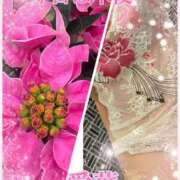 ヒメ日記 2025/11/29 12:18 投稿 東愛華 五十路マダムエクスプレス船橋店(カサブランカグループ)