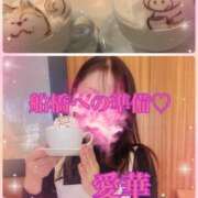 ヒメ日記 2025/12/10 12:18 投稿 東愛華 五十路マダムエクスプレス船橋店(カサブランカグループ)