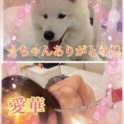 ヒメ日記 2025/12/20 17:16 投稿 東愛華 五十路マダムエクスプレス船橋店(カサブランカグループ)