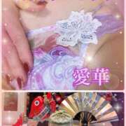 ヒメ日記 2025/12/29 18:16 投稿 東愛華 五十路マダムエクスプレス船橋店(カサブランカグループ)