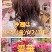 ヒメ日記 2026/01/27 18:30 投稿 東愛華 五十路マダムエクスプレス船橋店(カサブランカグループ)