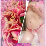 ヒメ日記 2026/02/06 13:18 投稿 東愛華 五十路マダムエクスプレス船橋店(カサブランカグループ)