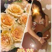 ヒメ日記 2026/02/13 22:46 投稿 東愛華 五十路マダムエクスプレス船橋店(カサブランカグループ)