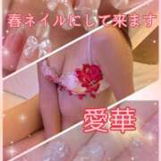 ヒメ日記 2026/03/03 12:24 投稿 東愛華 五十路マダムエクスプレス船橋店(カサブランカグループ)