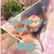 ヒメ日記 2026/03/12 09:24 投稿 東愛華 五十路マダムエクスプレス船橋店(カサブランカグループ)