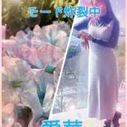 ヒメ日記 2026/03/13 09:30 投稿 東愛華 五十路マダムエクスプレス船橋店(カサブランカグループ)