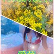 ヒメ日記 2026/03/13 22:58 投稿 東愛華 五十路マダムエクスプレス船橋店(カサブランカグループ)