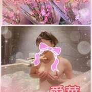 ヒメ日記 2026/03/14 09:38 投稿 東愛華 五十路マダムエクスプレス船橋店(カサブランカグループ)