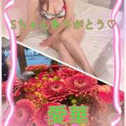 ヒメ日記 2026/03/27 12:46 投稿 東愛華 五十路マダムエクスプレス船橋店(カサブランカグループ)