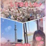 ヒメ日記 2026/03/29 22:12 投稿 東愛華 五十路マダムエクスプレス船橋店(カサブランカグループ)