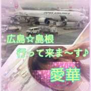 ヒメ日記 2026/04/02 20:56 投稿 東愛華 五十路マダムエクスプレス船橋店(カサブランカグループ)