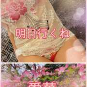 ヒメ日記 2026/04/16 19:42 投稿 東愛華 五十路マダムエクスプレス船橋店(カサブランカグループ)