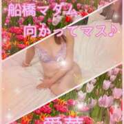 ヒメ日記 2026/04/17 08:38 投稿 東愛華 五十路マダムエクスプレス船橋店(カサブランカグループ)