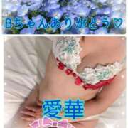 東愛華 Bちゃんありがとう? 五十路マダムエクスプレス船橋店(カサブランカグループ)