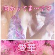 ヒメ日記 2026/04/18 09:04 投稿 東愛華 五十路マダムエクスプレス船橋店(カサブランカグループ)